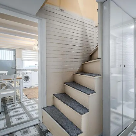 Earthquake-resistant Standalone Duplex House Apartament Stambuł