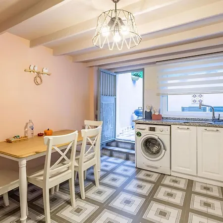 Earthquake-resistant Standalone Duplex House Apartment Istanbul